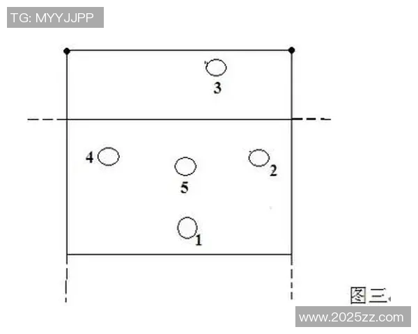 成都排球队战术分析与未来发展方向的深入探讨